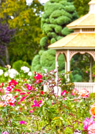 Garden Tourism