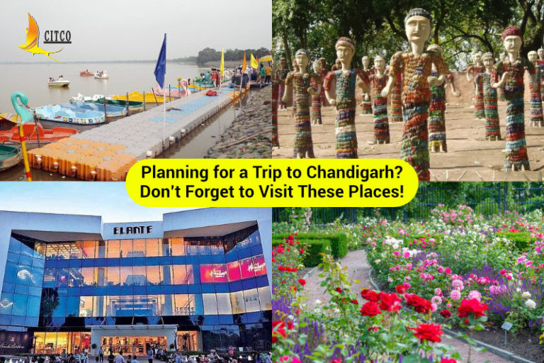 Planning for a Trip to Chandigarh? Don’t Forget to Visit These Places!