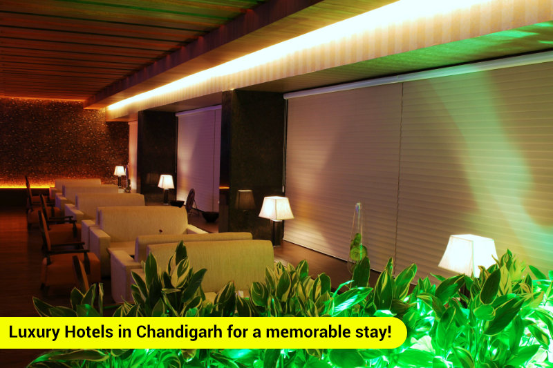 Luxury Hotels in Chandigarh for a memorable stay!